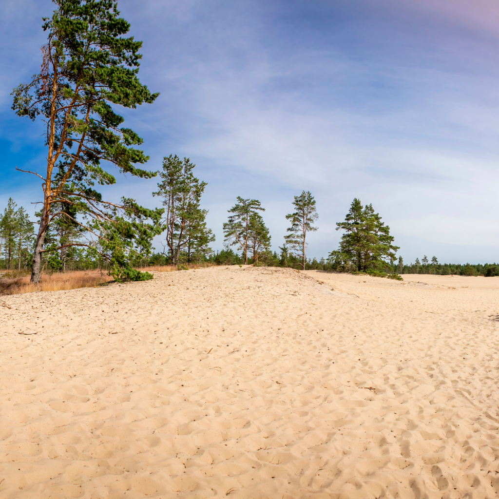 avasta-hiiumaa
